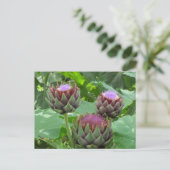 Artichokes in het Briefkaart Bloom (Staand voorkant)