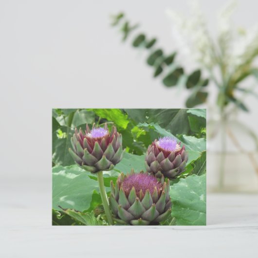 Artichokes in het Briefkaart Bloom (Staand voorkant)