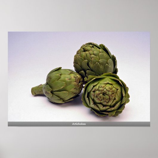 Artichokes Poster (Voorkant)