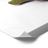 Artichokes Poster (Hoek)