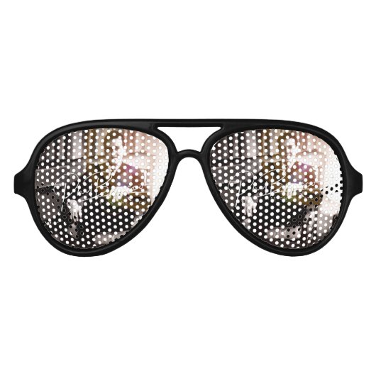 Artiest Phil Bracco Signature Glasses Aviator Zonnebril (Voorkant)