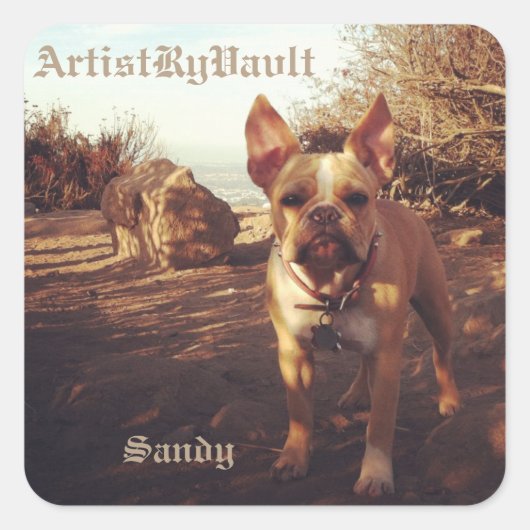 ArtiestRyVavlt Sandy Sticker (Voorkant)