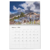 ARTIKEL 2020 VAN DE WOLVES KALENDER (Feb 2026)