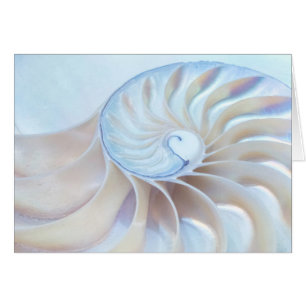 Artikel 2 van de natuur