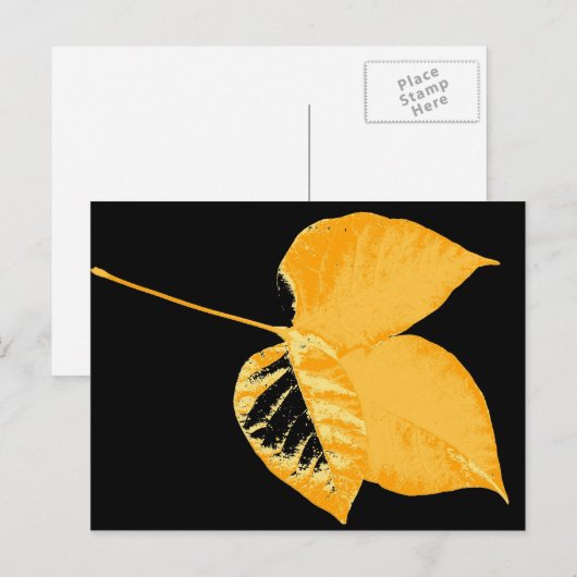 Artikel Leaf 12 Briefkaart (Voorkant / Achterkant)