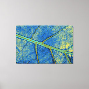 Artikel Leaf 5 Canvas Afdruk