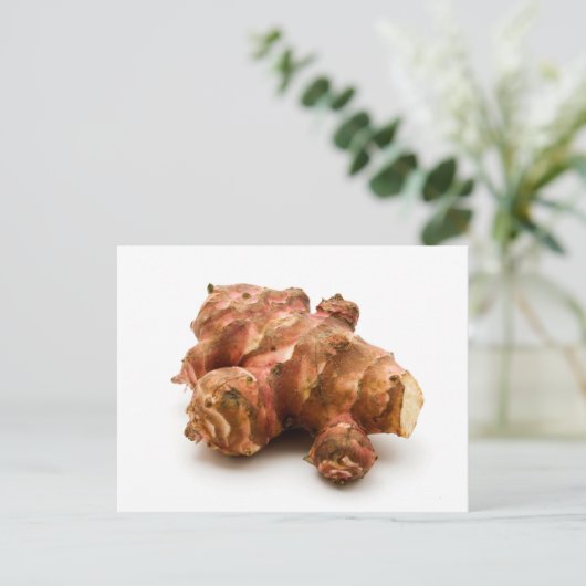 Artisjok Briefkaart (Staand voorkant)