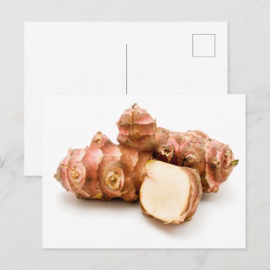 Artisjok Briefkaart (Voorkant / Achterkant)