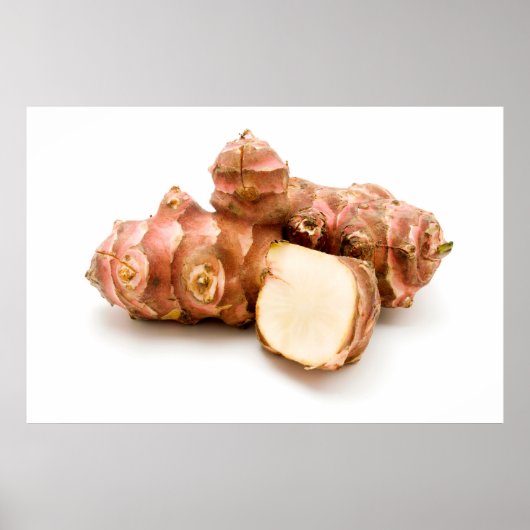 Artisjok Poster (Voorkant)