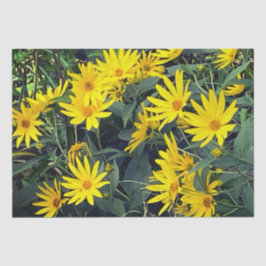 artisjok uit Jeruzalem Tissuepapier