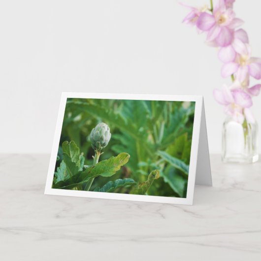 Artisjokdistel Plant Kaart (Orchidee)
