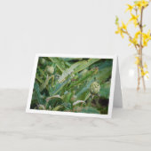 Artisjokdistelplanten Kaart (Gele Bloem)