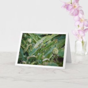 Artisjokdistelplanten Kaart