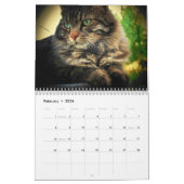Artistic Cats - Artistieke katten van djoneill Kalender (Feb 2026)