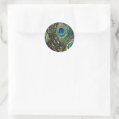 Artistic Peacock Feather Sticker (Tas)