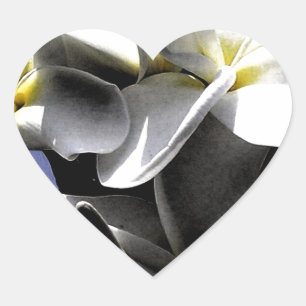 Artistic Plumeria Flowers Hart Sticker