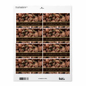 Artistic Roasted Coffee Beans Business Card Etiket (Full Sheet)