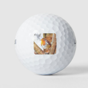 Artistic Robin Redborst Perched Golfballen
