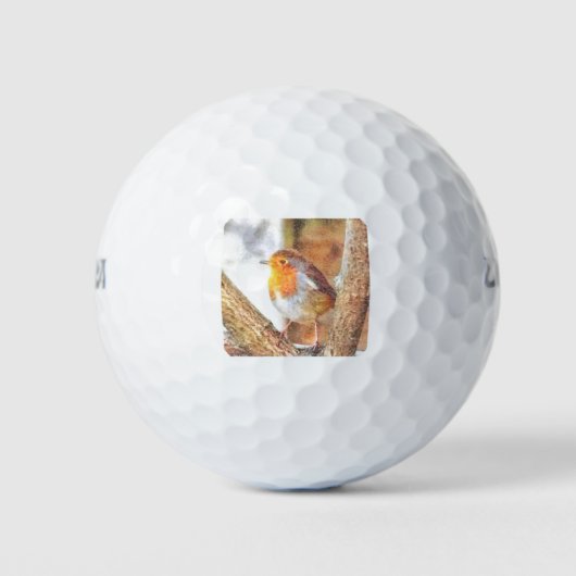 Artistic Robin Redborst Perched Golfballen (Voorkant)