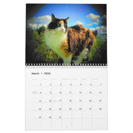 Artisticat van DJ door djoneill Kalender (Mar 2026)