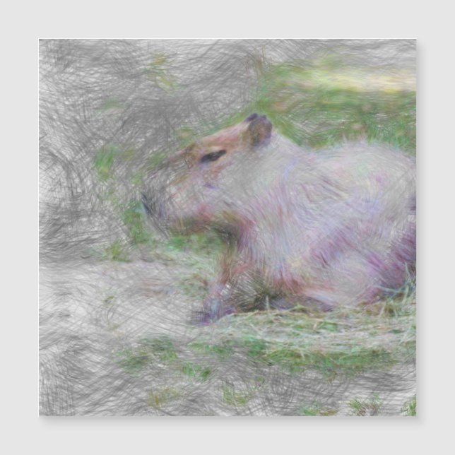 artistiek dier capybara (Voorkant)