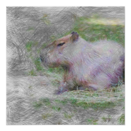 artistiek dier capybara perfect poster (Voorkant)