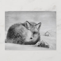 ** Artistiek Dier Red Fox AP18 Artsy Wildlife