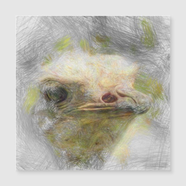 artistiek dierlijk struisvogel (Voorkant)