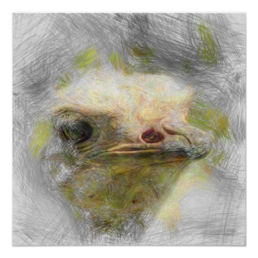 artistiek dierlijk struisvogel perfect poster (Voorkant)