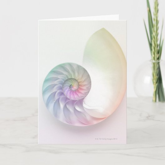 Artistiek gekleurd nautilusafbeelding kaart (Voorkant)