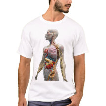 Artistieke Anatomie: Onthulling van het lichaam