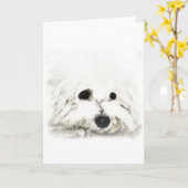 Artistieke Bichon spp. Kaart (Gele Bloem)