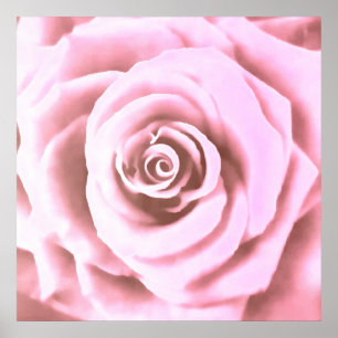 Artistieke Big Bleek Roze Rose Poster