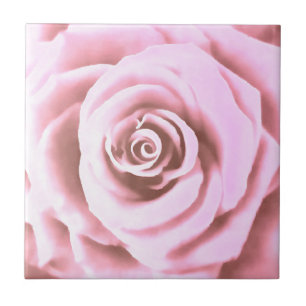 Artistieke Big Bleek Roze Rose Tegeltje
