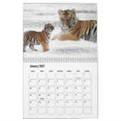 Artistieke Big Cat-kalender Kalender (Jan 2027)