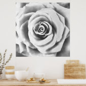 Artistieke Big White Rose Poster (Keuken)