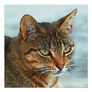 Artistieke Cartoonstijl Zwarte Omlijning Tabby Kat Perfect Poster