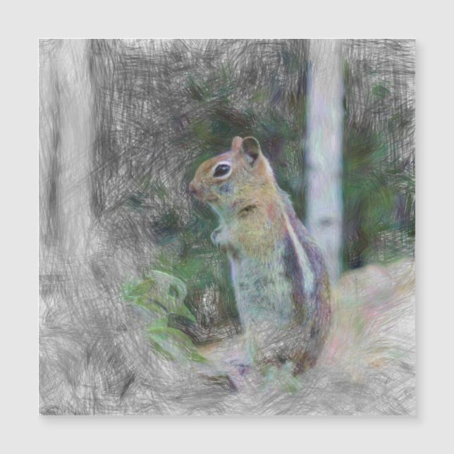 artistieke chipmunk 1 (Voorkant)