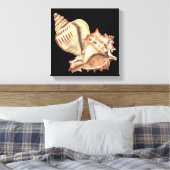 Artistieke Conch Shells Canvas Afdruk (Insitu (Slaapkamer))