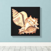 Artistieke Conch Shells Canvas Afdruk (Insitu (Houten vloer))