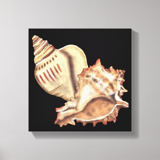 Artistieke Conch Shells Canvas Afdruk (Voorkant)