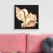 Artistieke Conch Shells Canvas Afdruk (Insitu (Woonkamer))