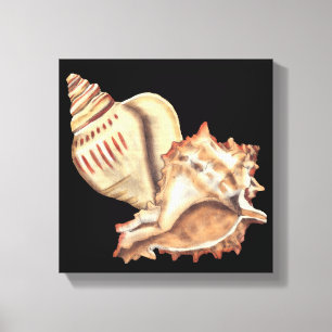 Artistieke Conch Shells Canvas Afdruk
