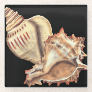 Artistieke Conch Shells Glazen Onderzetter