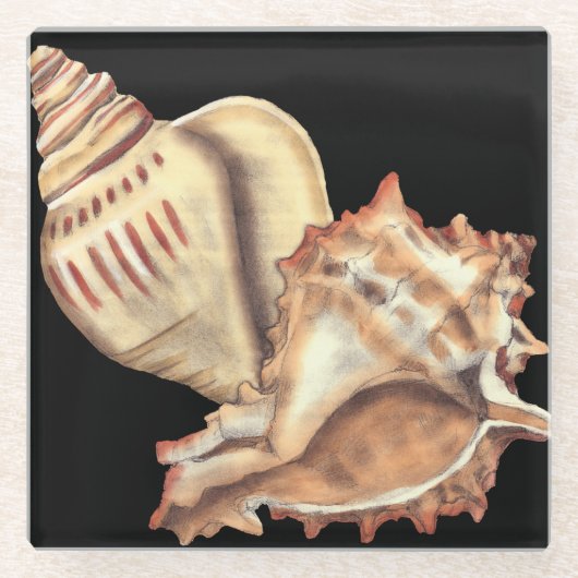 Artistieke Conch Shells Glazen Onderzetter (Voorkant)
