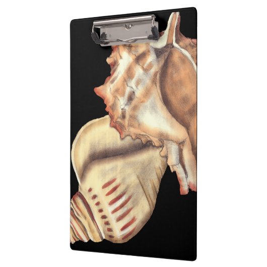 Artistieke Conch Shells Klembord (Links)