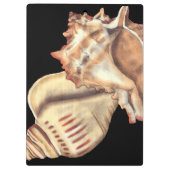 Artistieke Conch Shells Klembord (Achterkant)