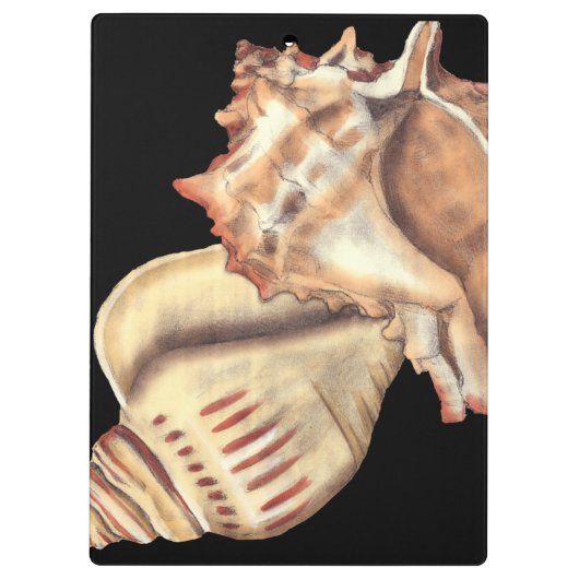 Artistieke Conch Shells Klembord (Achterkant)
