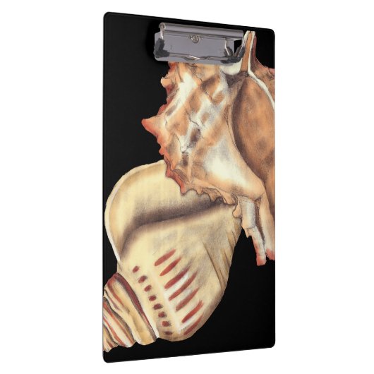 Artistieke Conch Shells Klembord (Rechts)