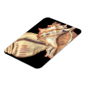 Artistieke Conch Shells Magneet (Linkerzijde)